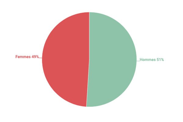 graphique représentant le profil des publics de la Bpi