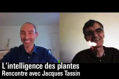 Photo de l'entretien entre Jacques Tassin et Sébastien Gaudelus