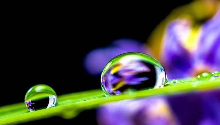 Goutte d'eau sur feuille