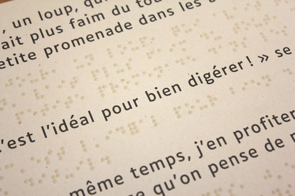 C'est moi le plus fort, braille et Luciole,