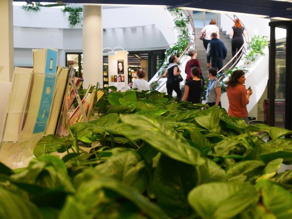 Photographie de l'entrée de la bibliothèque Metso avec un escalier et des plantes vertes