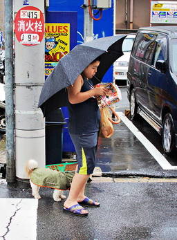 Garçon qui lit un manga sous un parapluie dans la rue