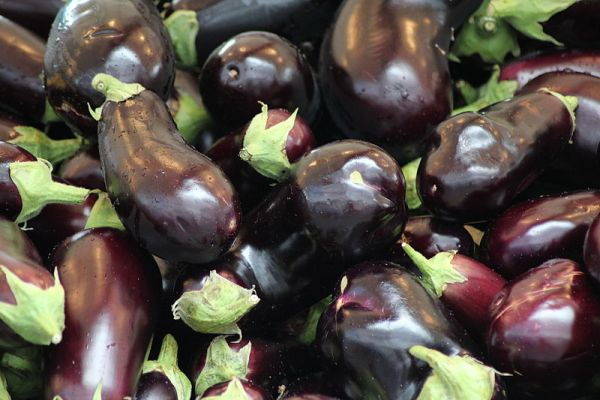 photographie d'aubergines