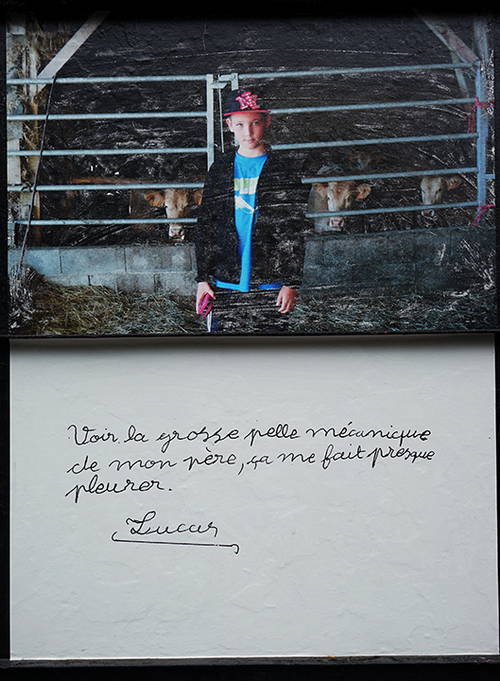 un enfant devant des vaches