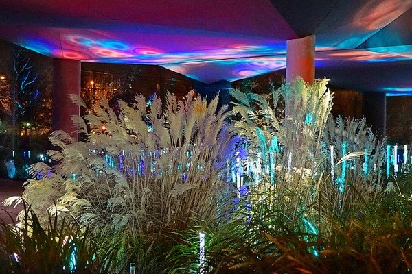 vue du jardin du Quai Branly, la nuit, les joncs illuminés