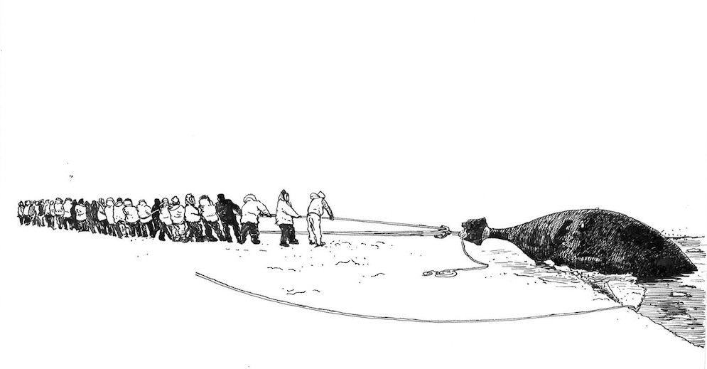 Dessin de chasse à la baleine