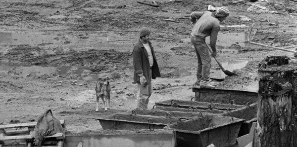 Deux hommes et un chien sur une maison