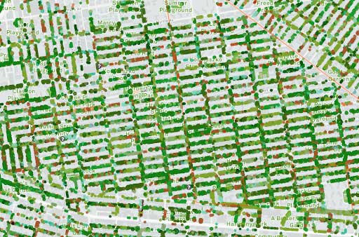 Plan qui montre les rues bordées d'arbres