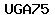 E-Mail Image Verification